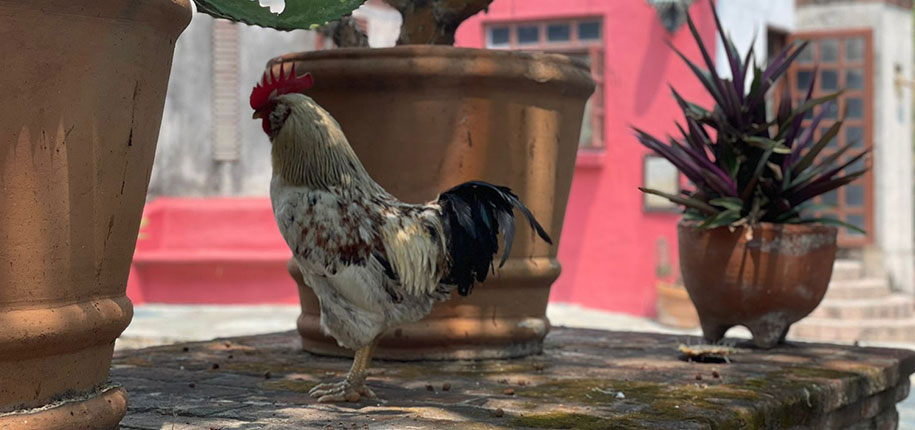 Comedores y banquetes ejecutivos